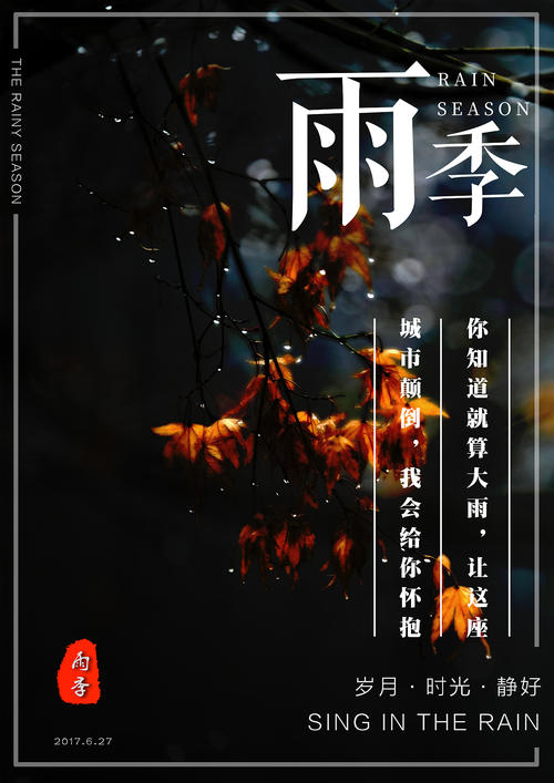 买假艾奥瓦州驾驶证
